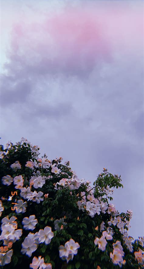 pc wallpaper aesthetic|Free Desktop Wallpaper Aesthetic Photos .